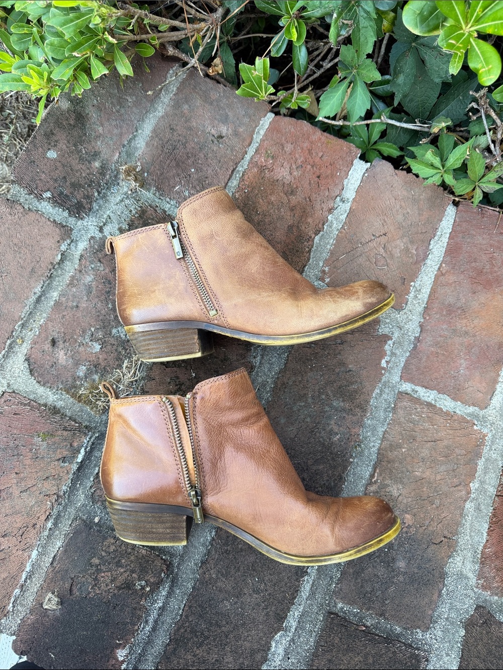 Lucky Brand Cognac Brown Leather Ankle Boot Size 7 - Picture 7 of 8